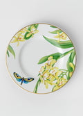 Amazonia Anmut Salad Plate 8 1/2 in