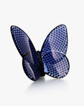 Papillion lucky diamond blue