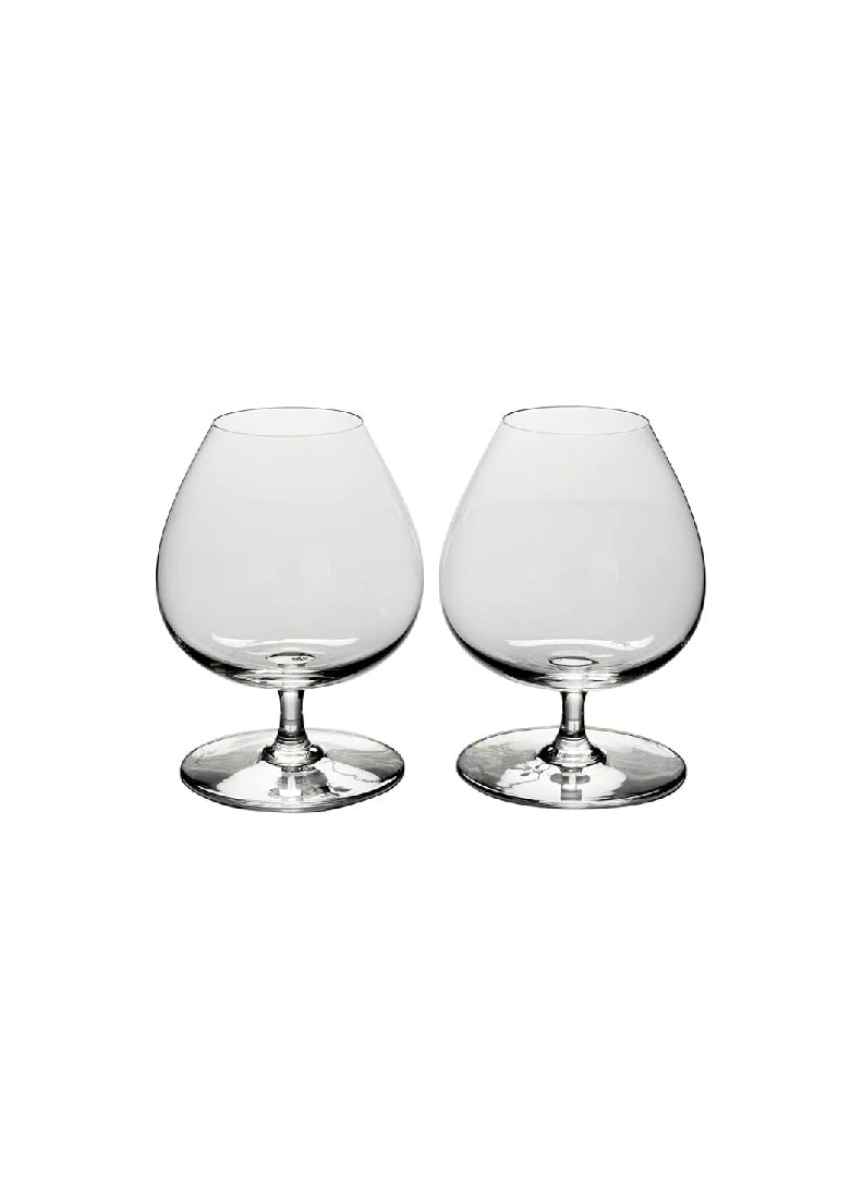 perfection wine-tasting glass 145