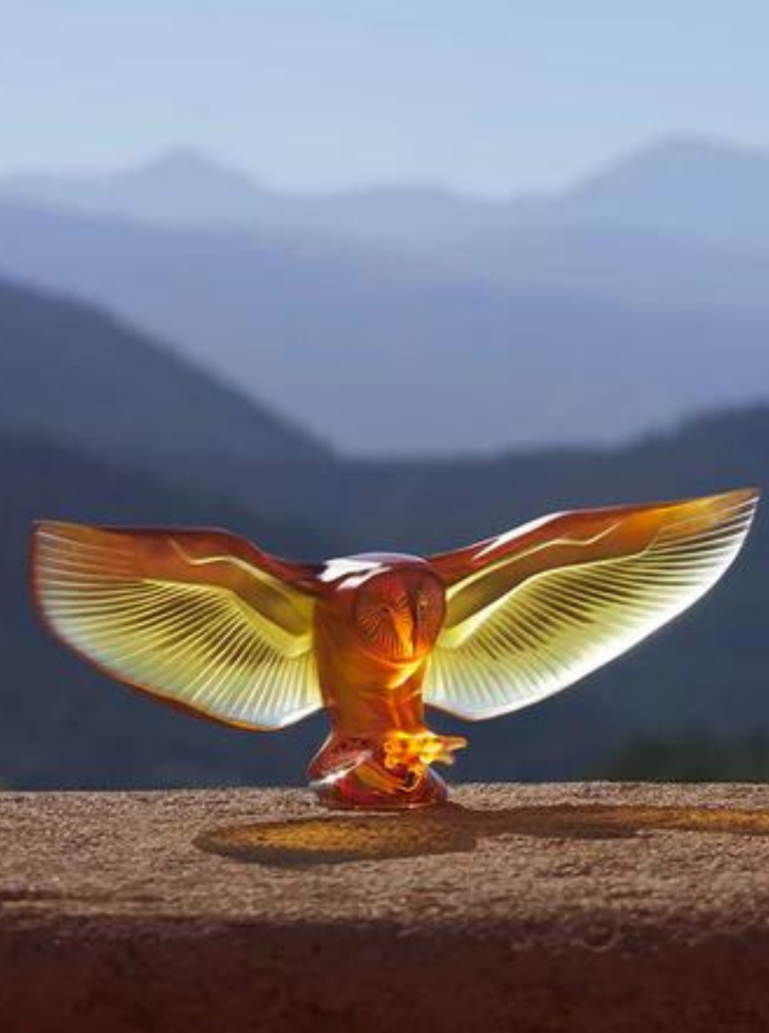 Chouette Effraie- Barn Owl Sculpture Amber