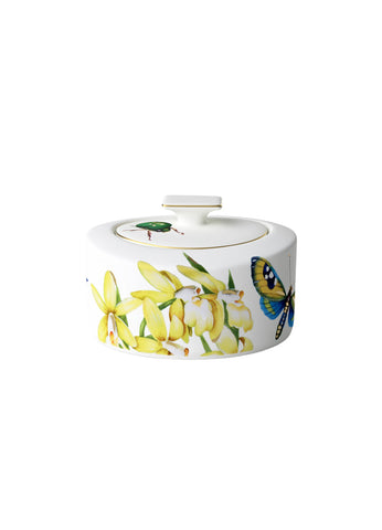 Amazonia Covered Sugar 11 oz