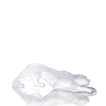 Zeila Panther Clear Large