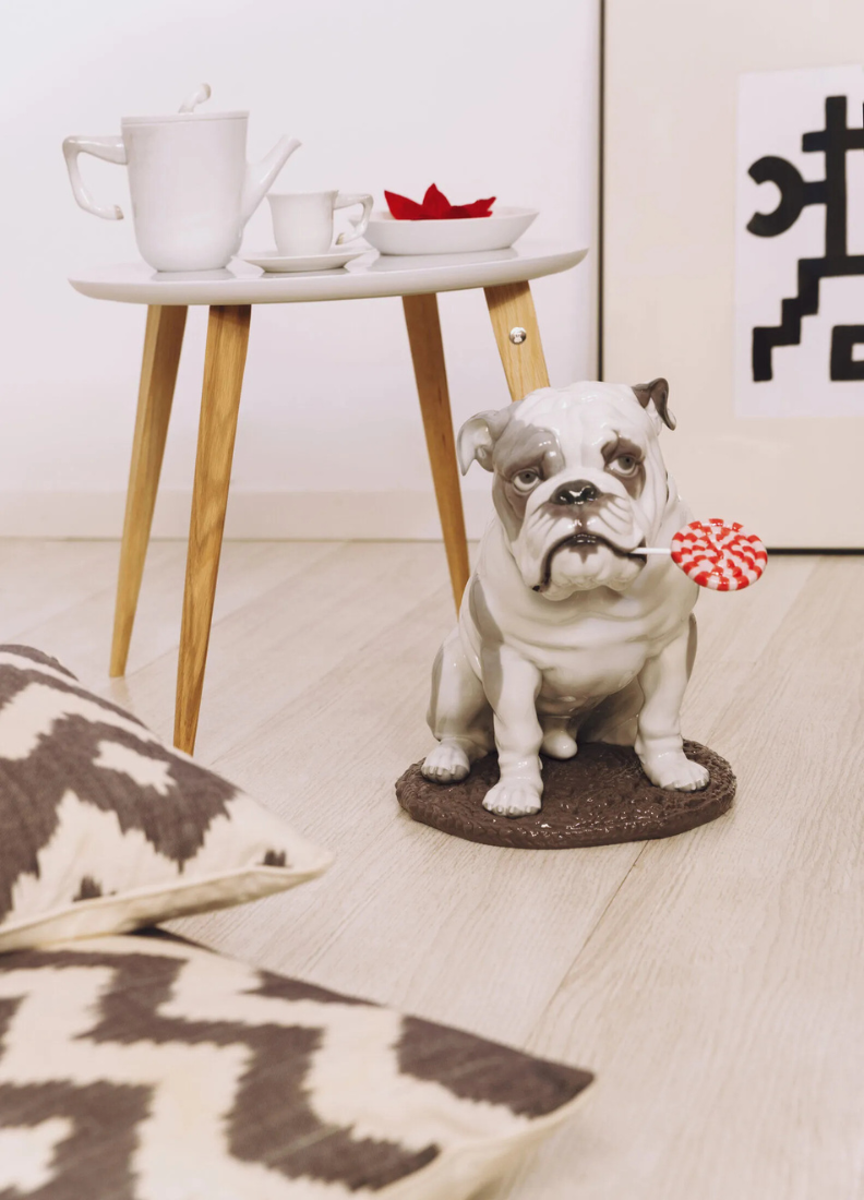 Bulldog Con Piruleta
