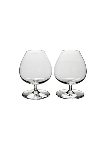 perfection wine-tasting glass 145