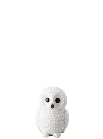 Pets Owl Snow White