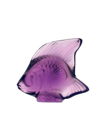 Fish Violet
