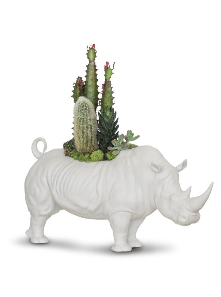 Rhino Garden (blanco mate)