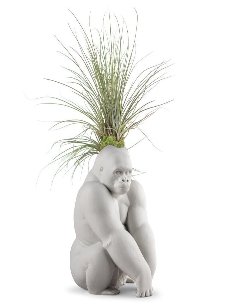 Gorilla with Airplants (blanco mate-h)
