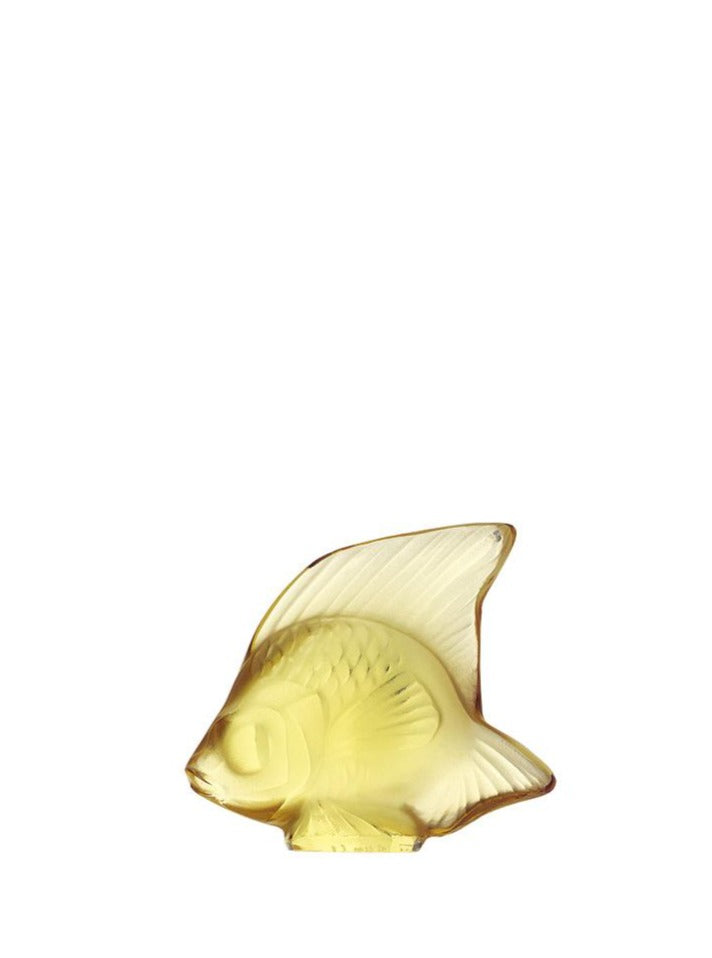 Fish Gold