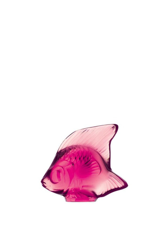 fish fuchsia