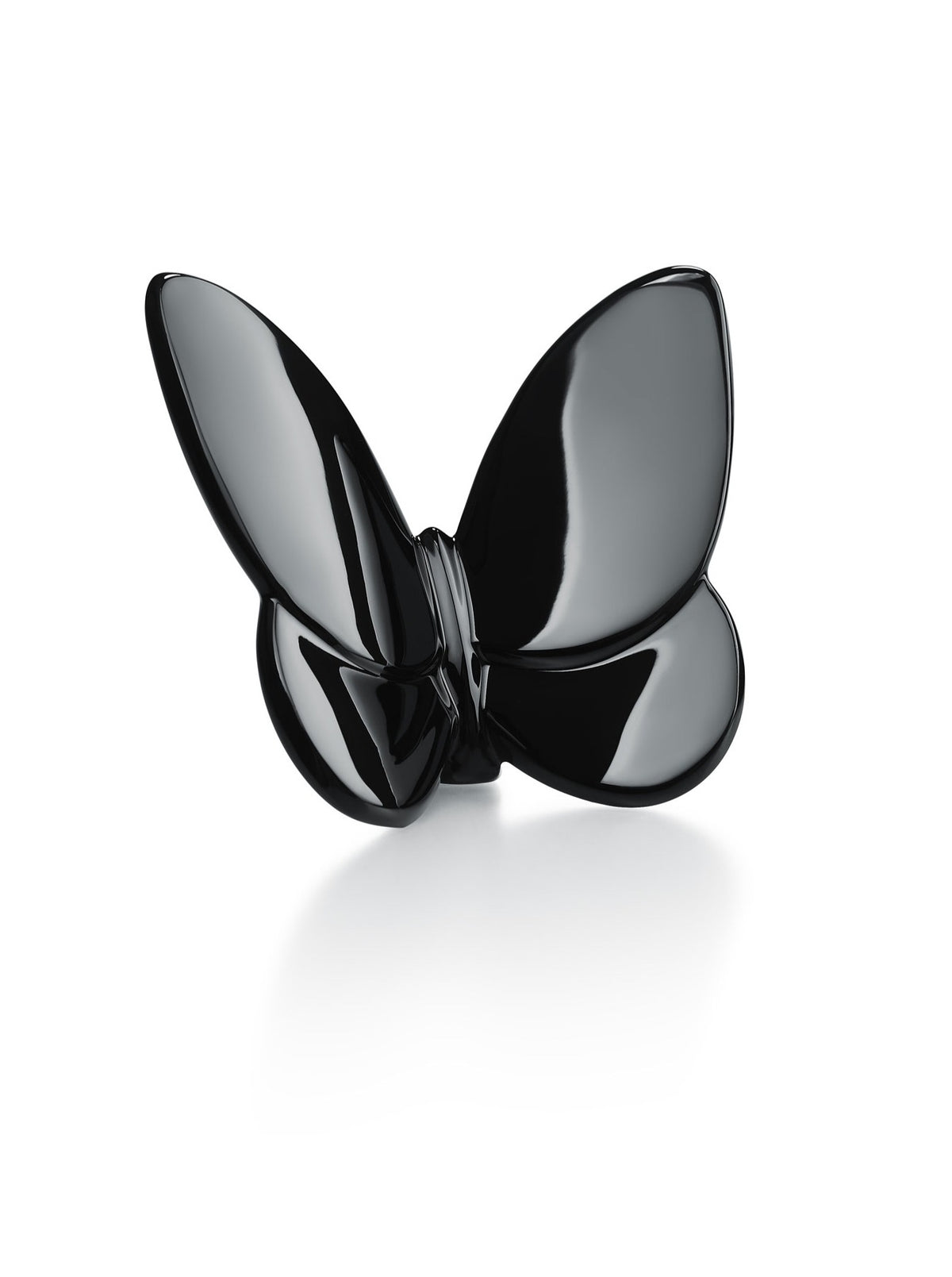 Black Butterfly